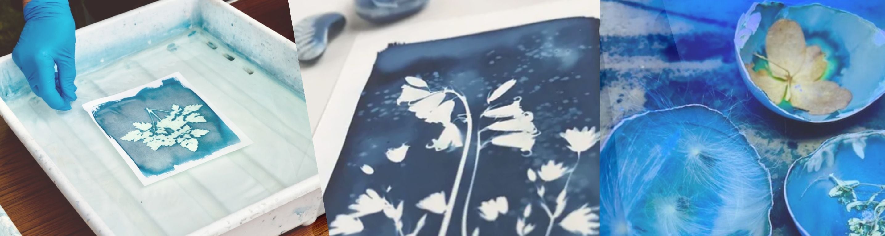 Cyanotype
