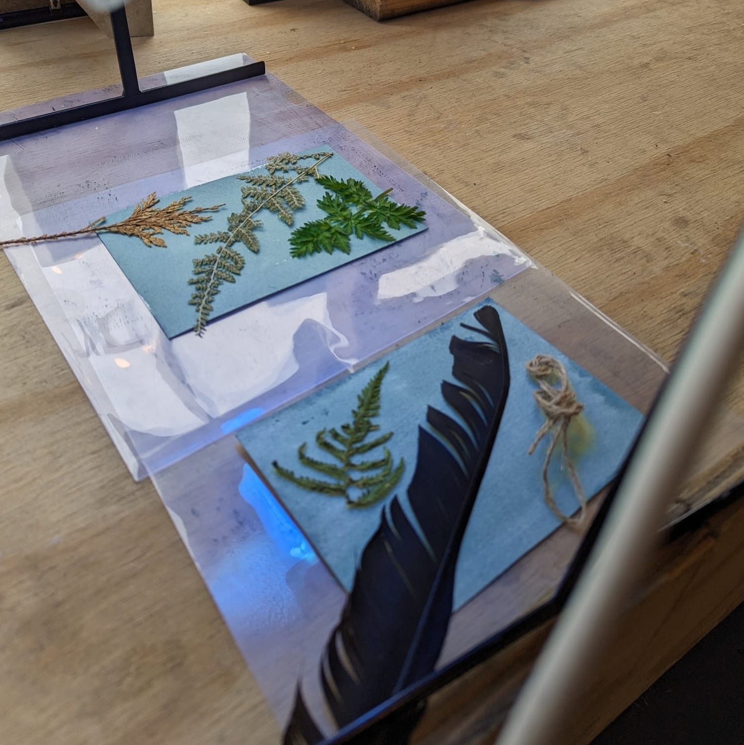 Taster class Cyanotype