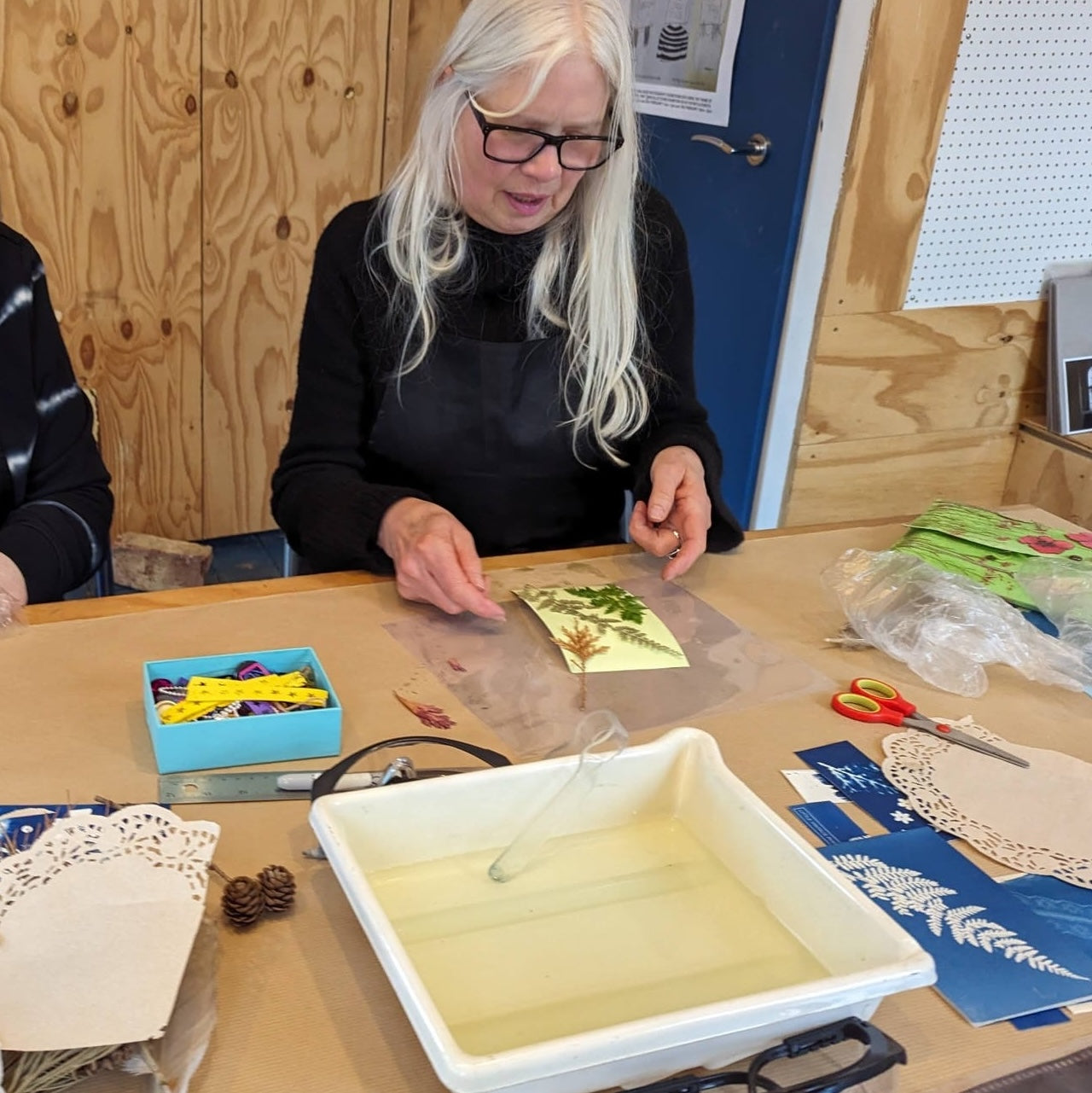 Taster class Cyanotype