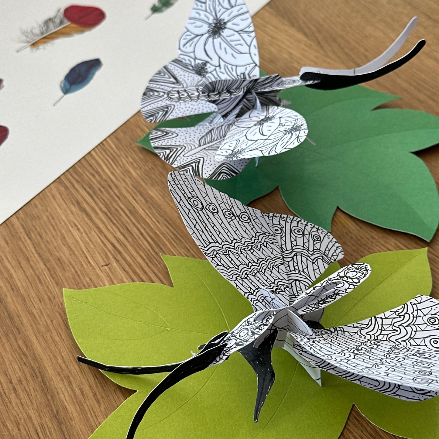 Workshop The Art of Ink Illustration with Clare Curran