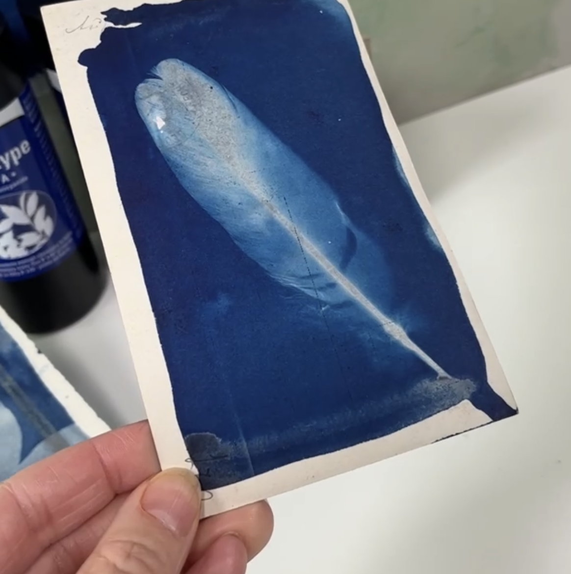 Taster class Cyanotype
