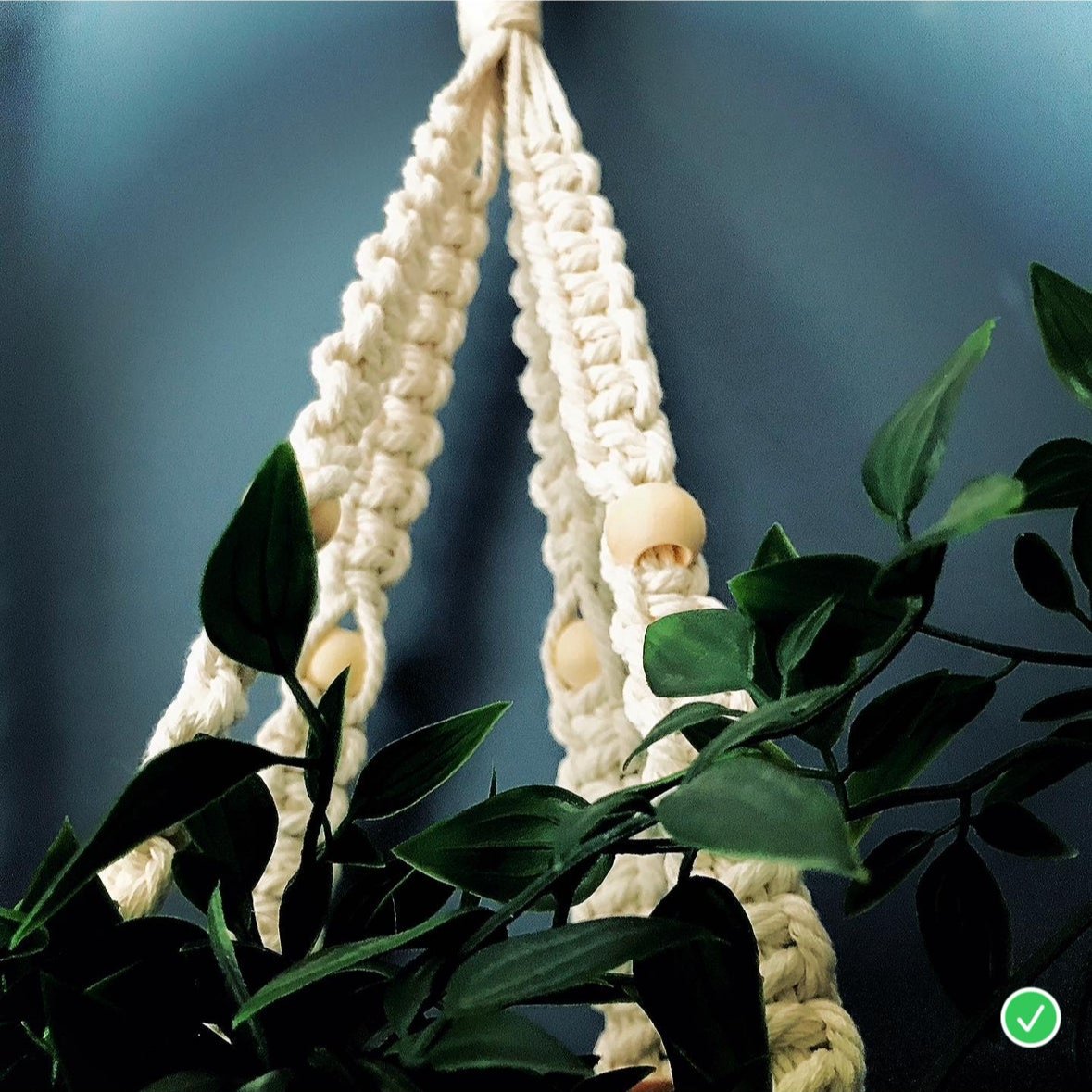 Workshop macrame plant hanger