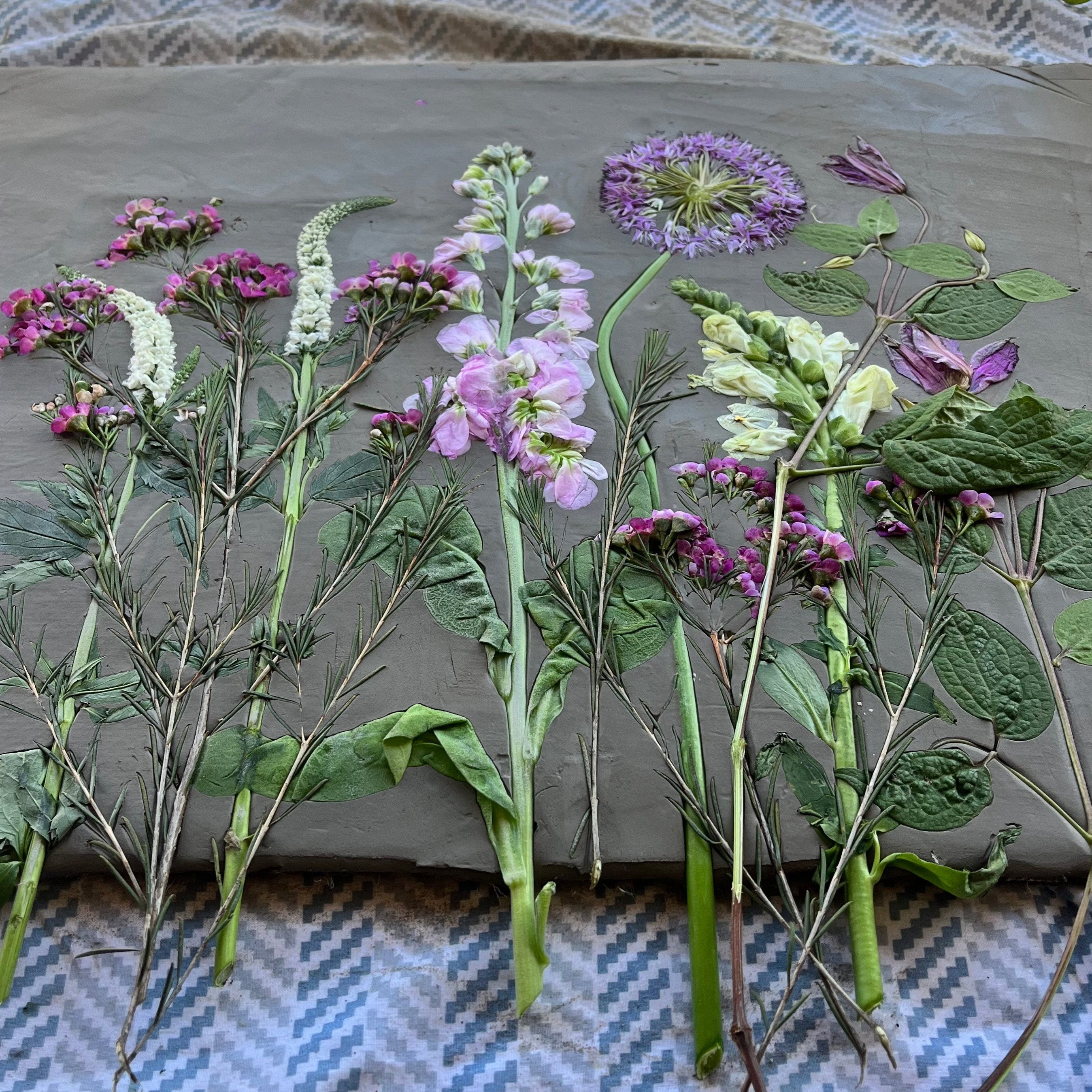 Workshop Botanical Casting Wall Art