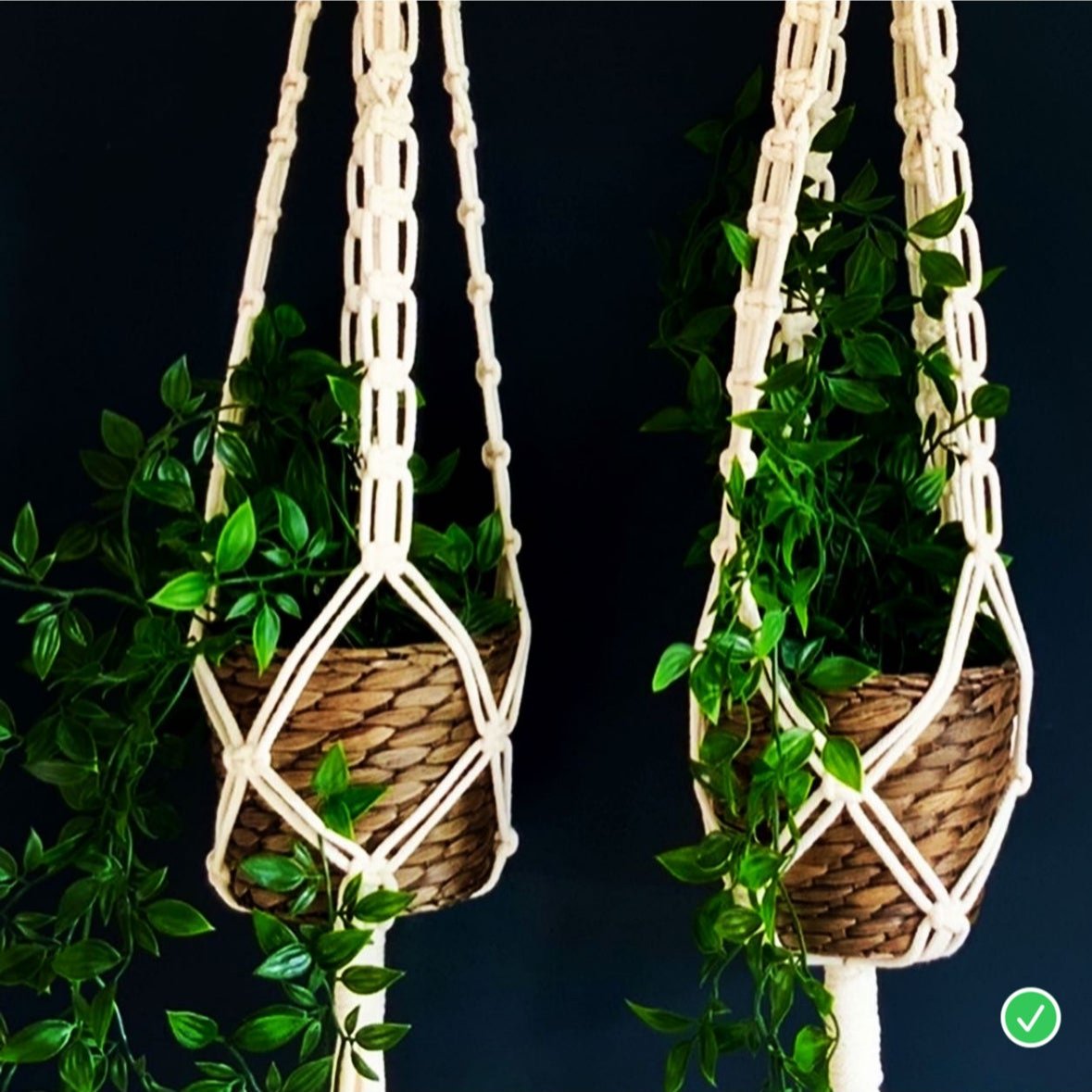 Workshop macrame plant hanger