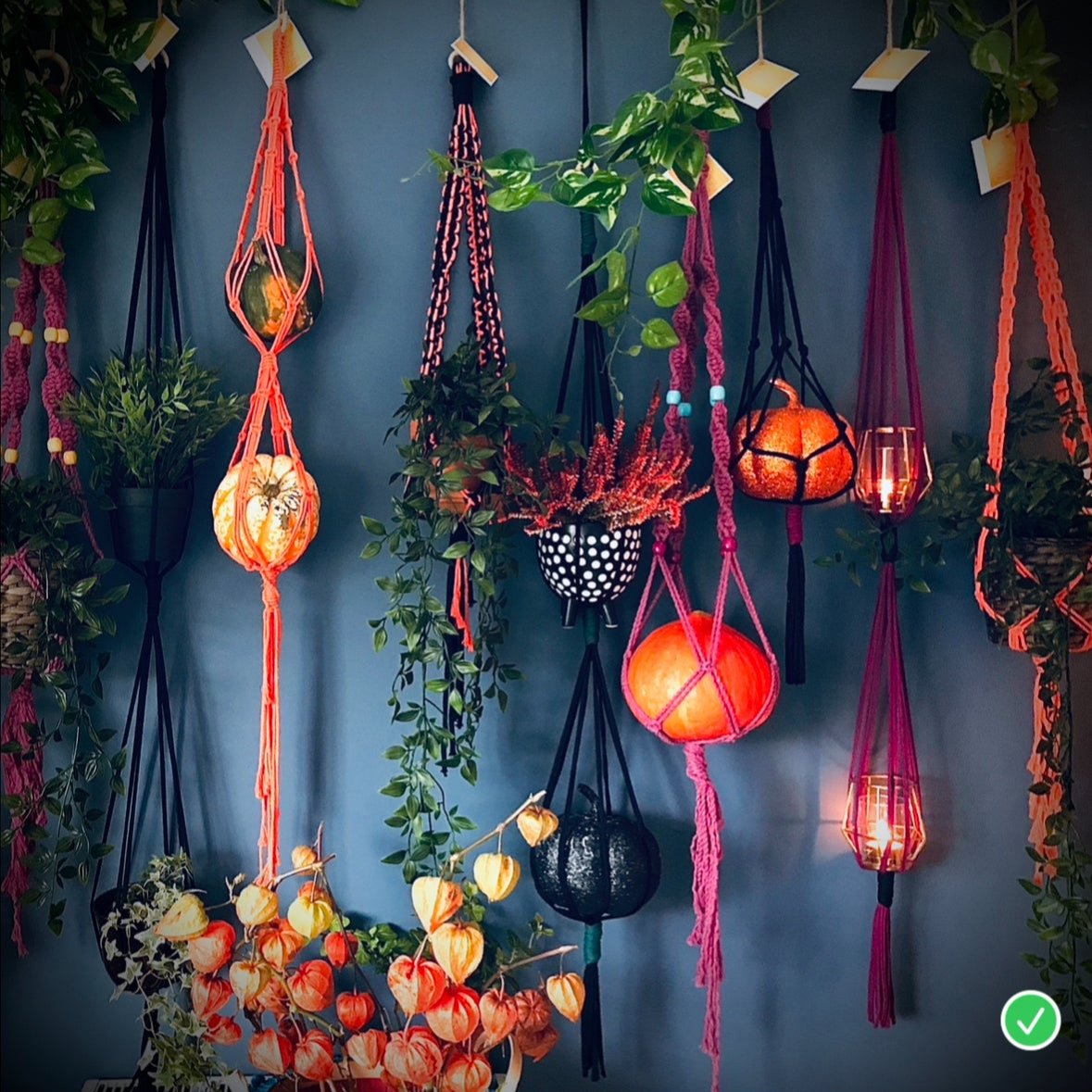 Workshop macrame plant hanger