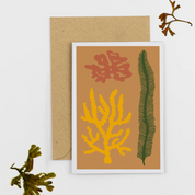 Art card - seaweed