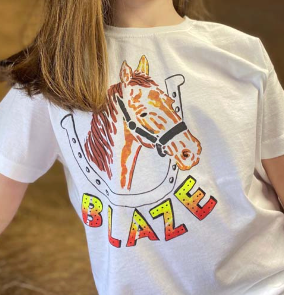 T.Shirt Painting Kit Horses