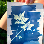 Cyanotype Complete Kit