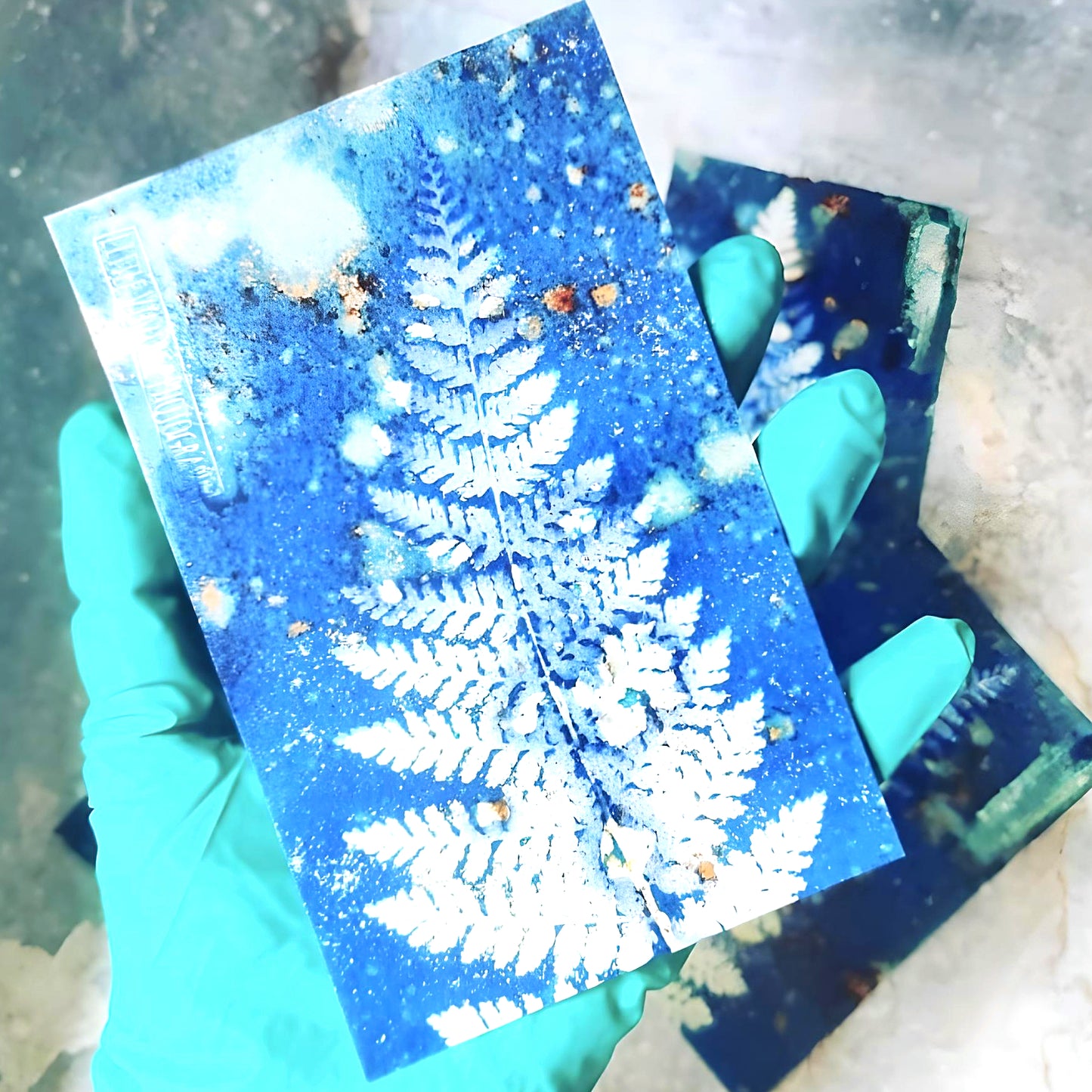 Taster class Cyanotype