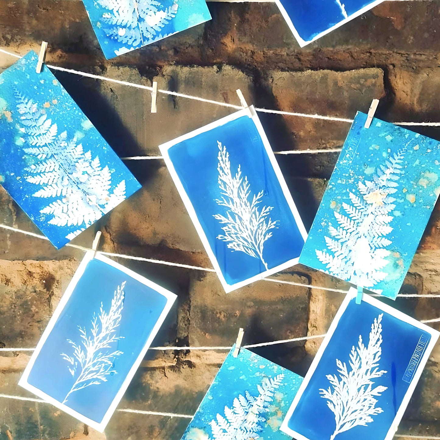 Taster class Cyanotype
