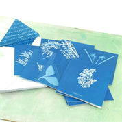Sunprint cyanotype notecards