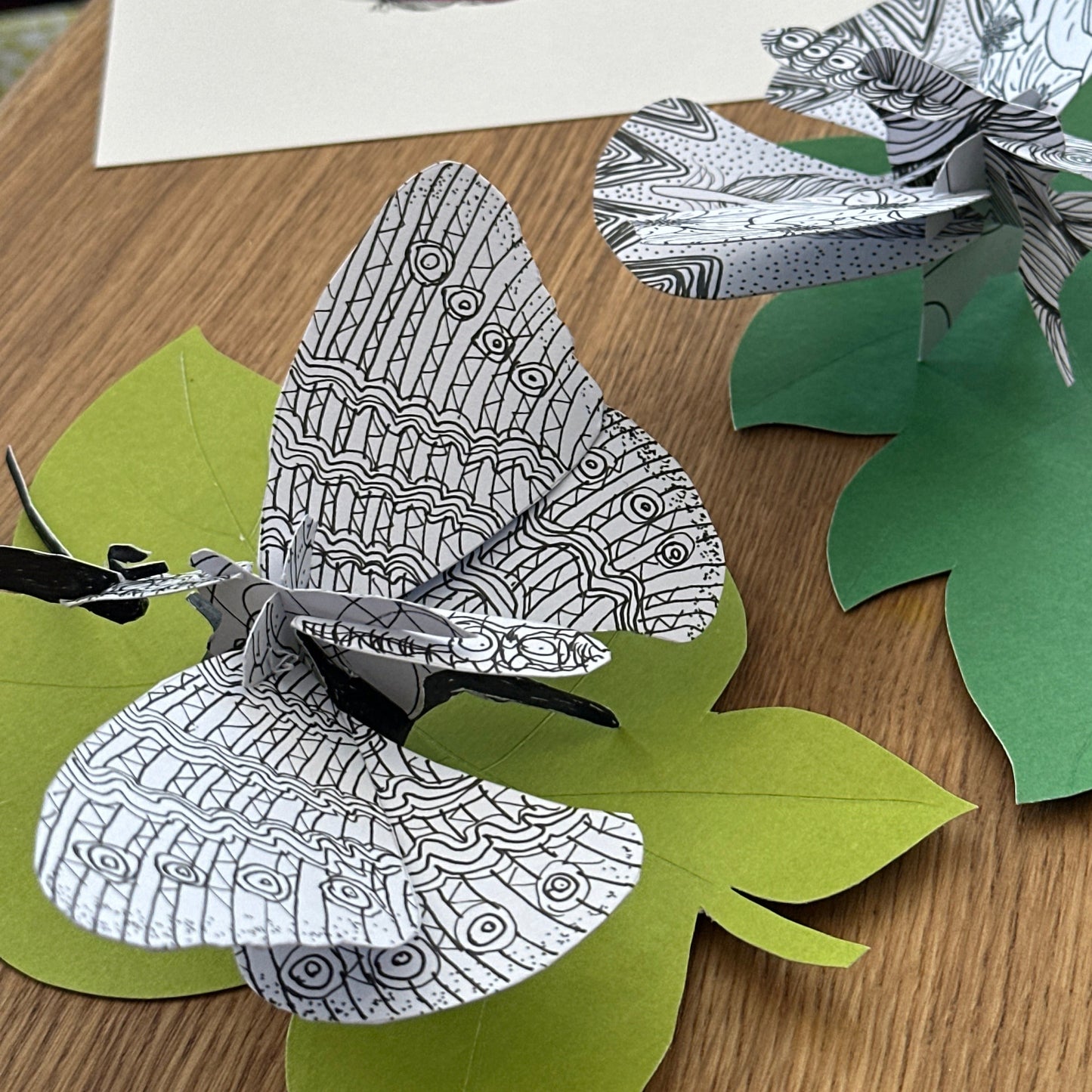 Workshop The Art of Ink Illustration with Clare Curran