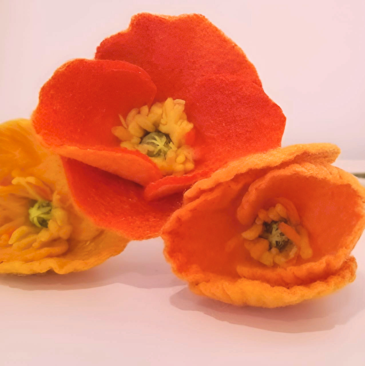 Workshop feltmaking poppy with water