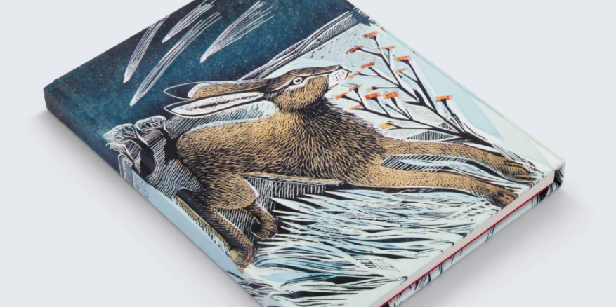 A product listing page for a Shooting Stars Hardback Foiled Journal on a Shopify website. The page shows a product image of a hardback journal with a colorful tiger and water illustration on the cover, 