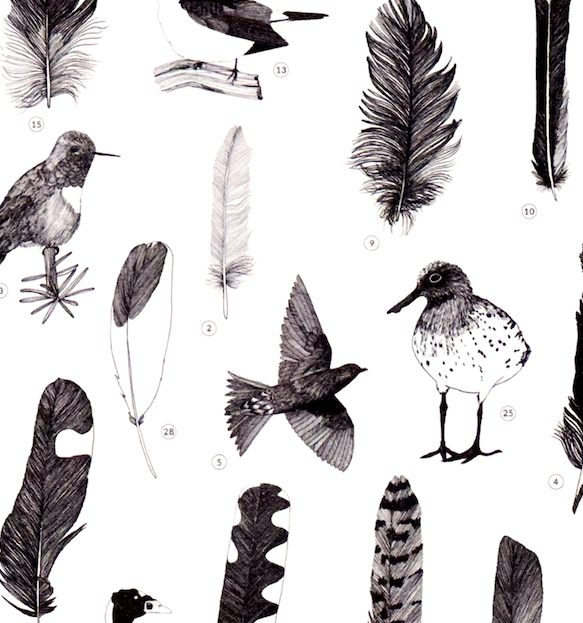 Art Print, Migratory Menagerie