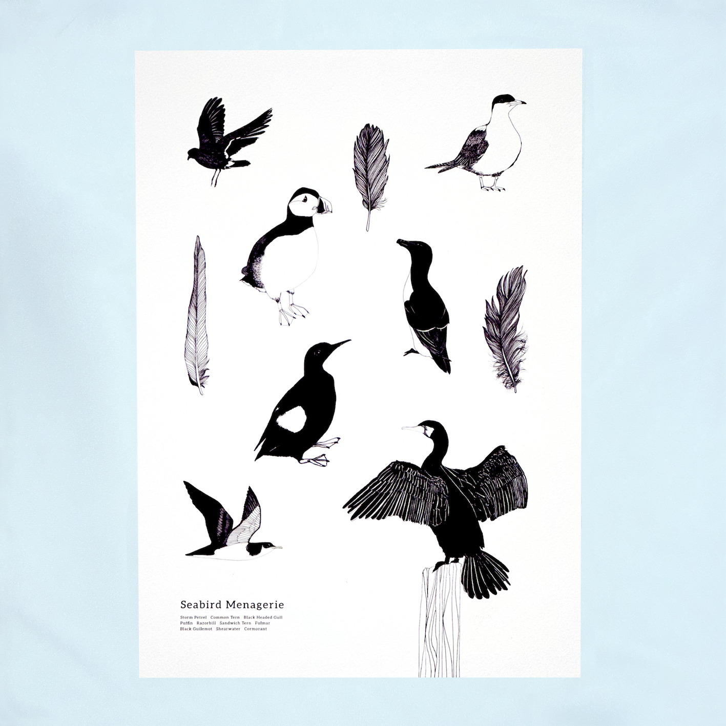 Art Print, Seabird Menagerie