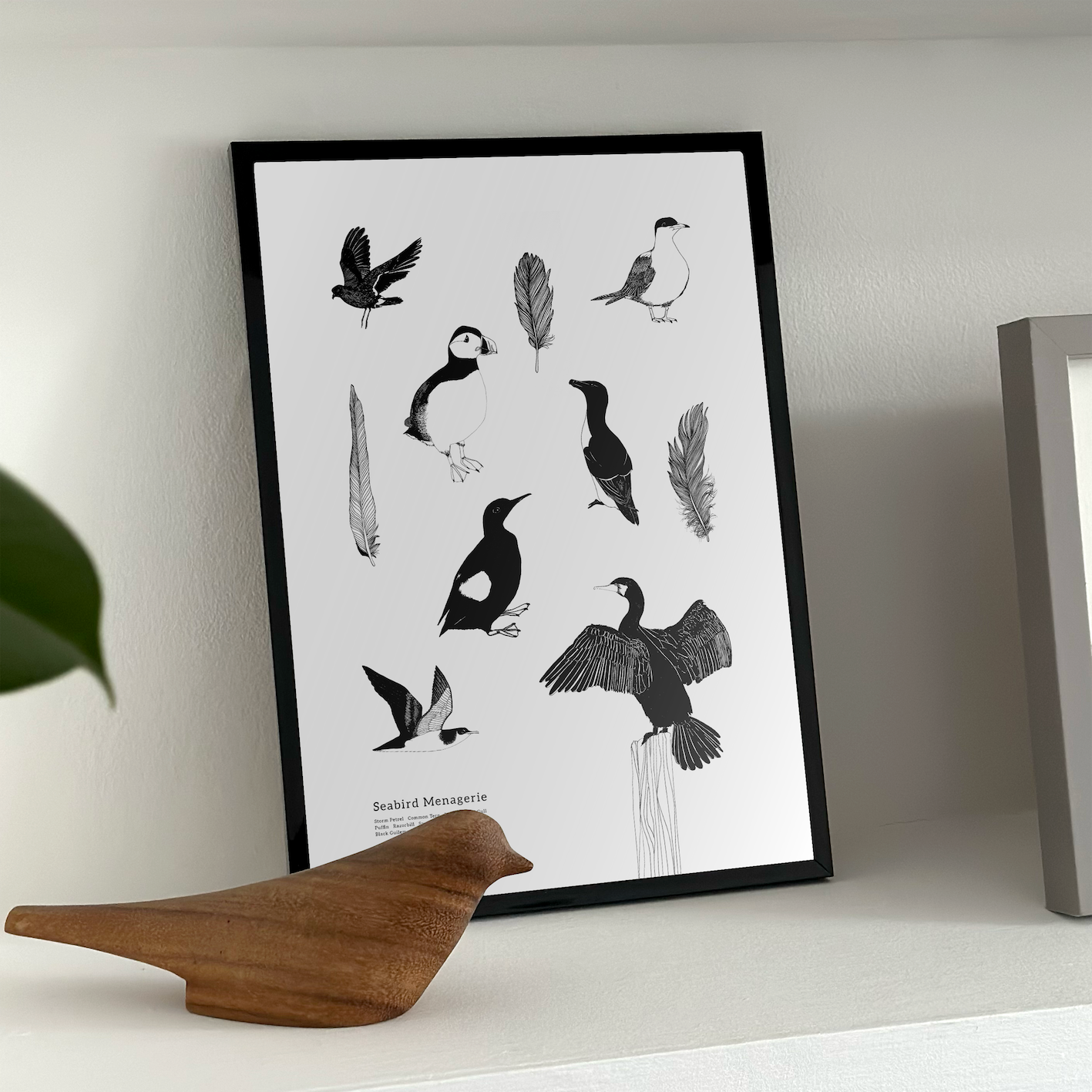 Art Print, Seabird Menagerie