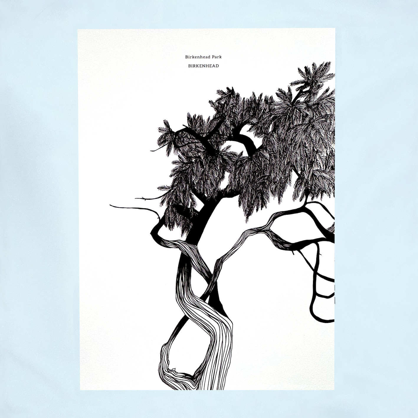 15.tree_birkenhead_2x_32139720-bf08-4372-bd33-8d09f538baaf.png