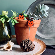 Lily Faith Ladybird Plant Pot Companions