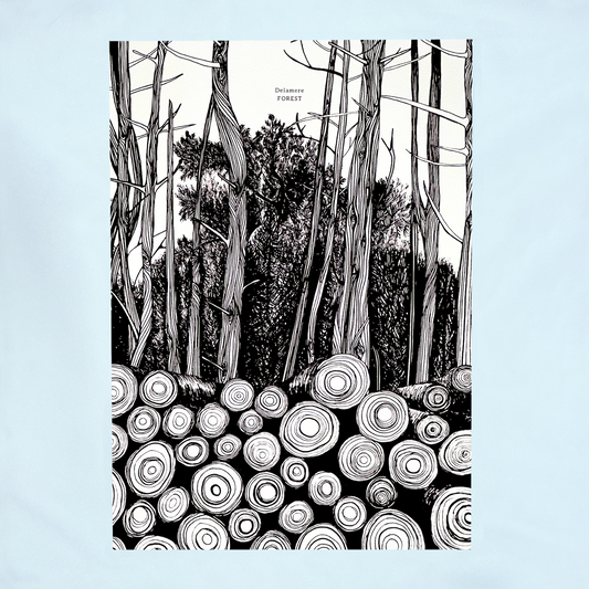 Art Print, Delamere Forest