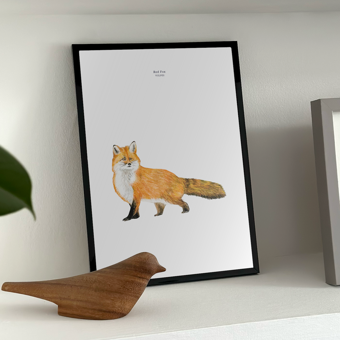 2.fox_insitu_2x_bac6fb7a-7727-4338-b6d1-09400f0480a8.png