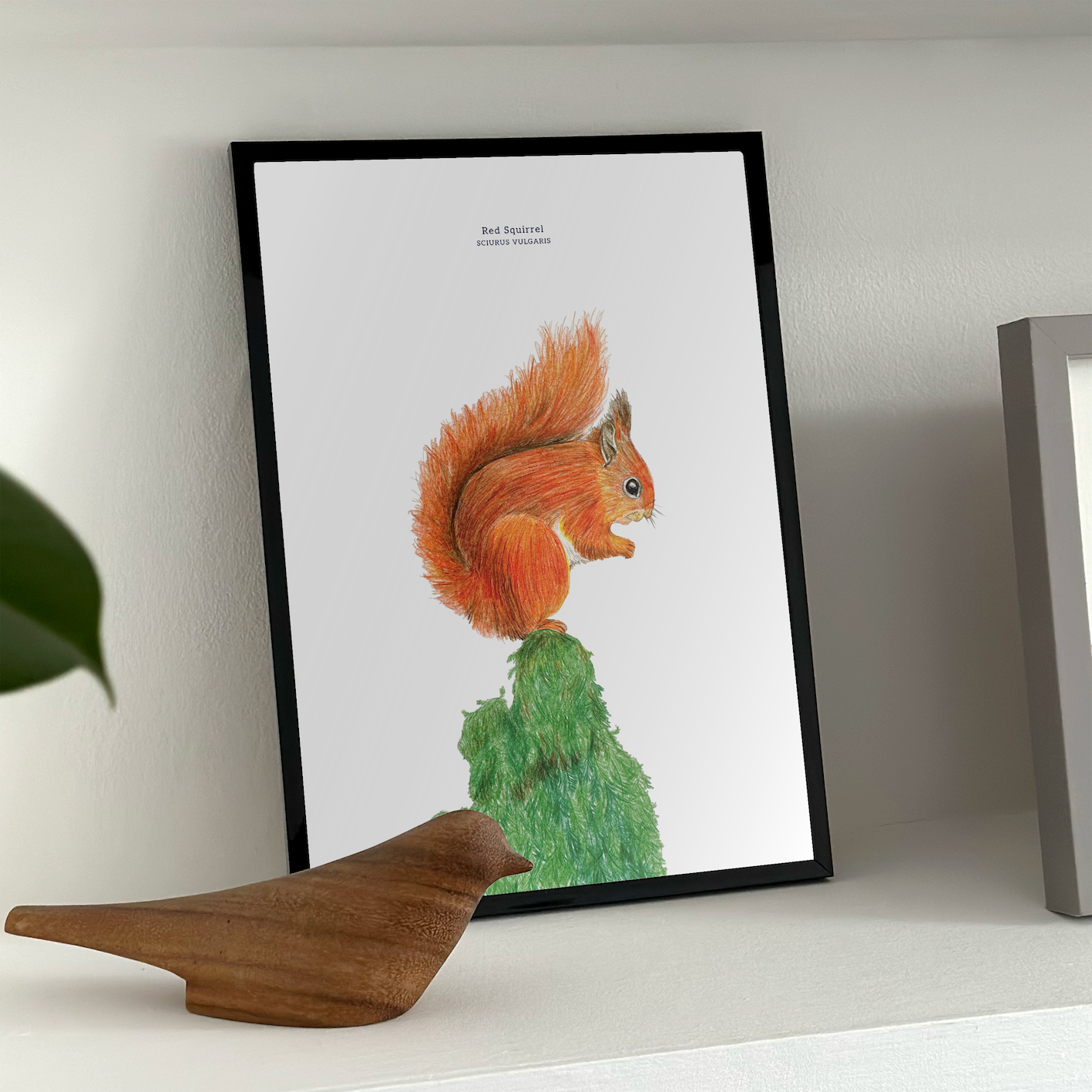 20.squirrel_insitu_2x_f4bb94db-3744-4eeb-be74-f120badcd406.png
