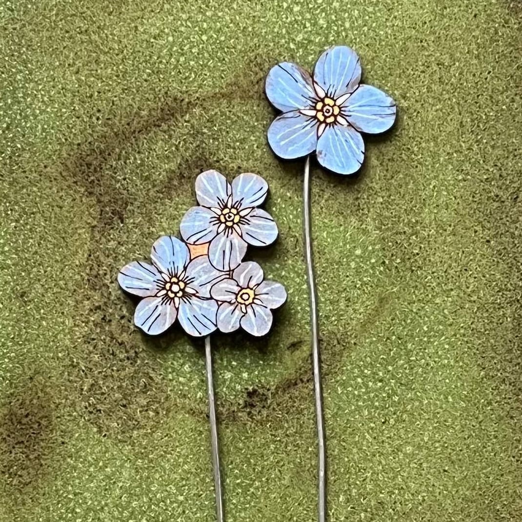 Lily Faith Forget Me Not Plant Pot Companions  