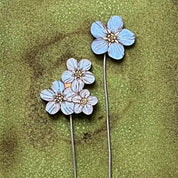 Lily Faith Forget Me Not Plant Pot Companions  