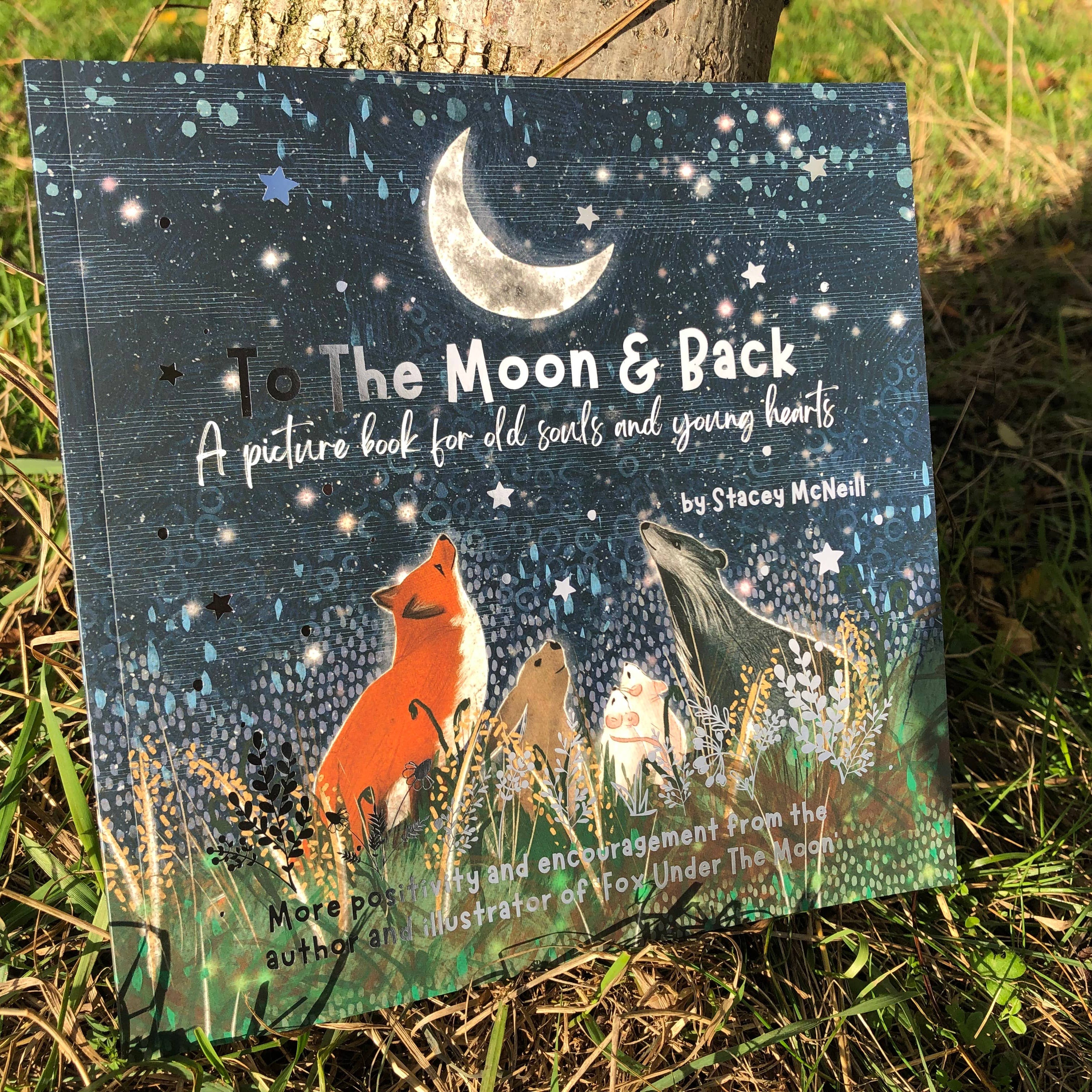 Children's book titled 'To The Moon & Back' by Stevie McNeill on grass