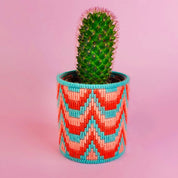 A small green cactus in a cylindrical woven planter with a red, orange, and turquoise chevron pattern, set against a solid pink background.