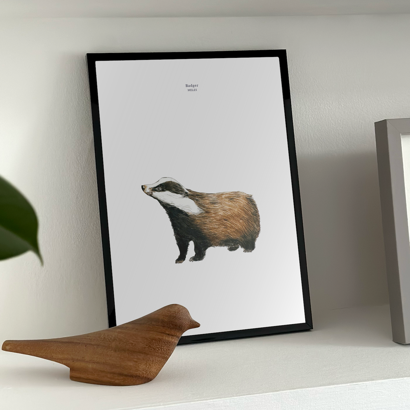 3.badger_insitu_2x_fefe7f4c-87cc-4f1b-85f2-b9677e29f1a2.png