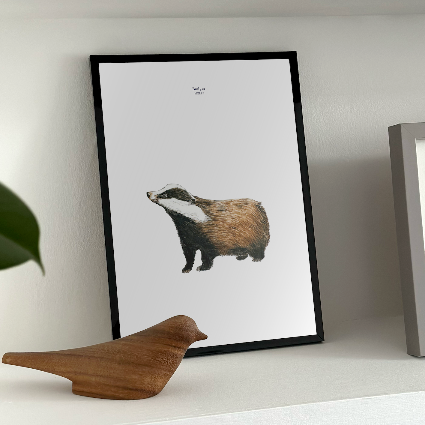 Art Print Badger The Forest Guardian