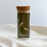 Red Panda Stud Earrings in a Glass Vial