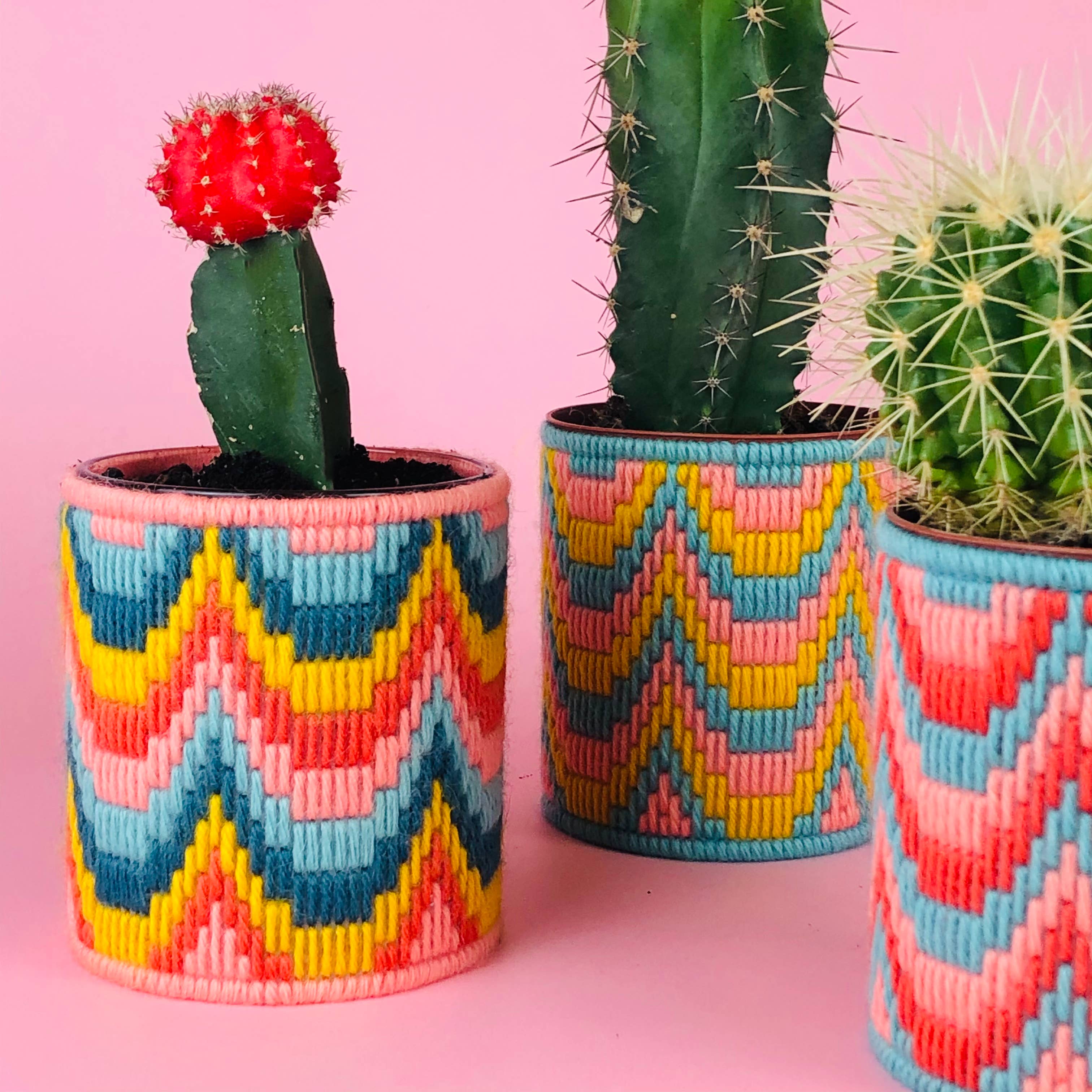 Bargello Needlepoint Plant Pot Kit