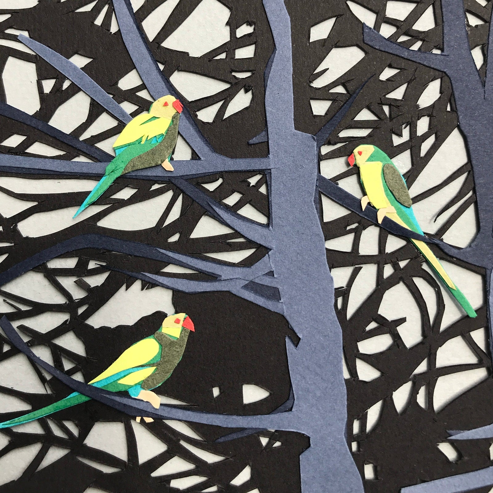 Birds of Liverpool Papercut Collage Workshop