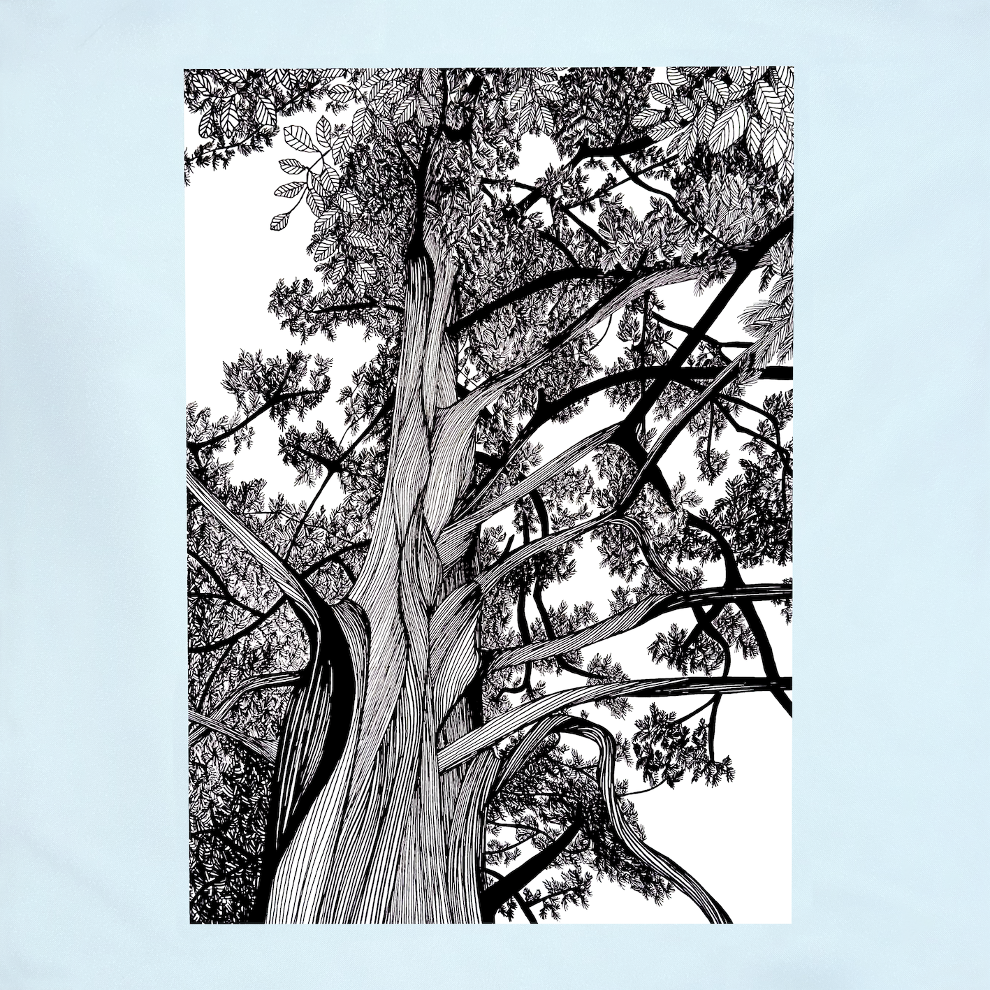 5.tree_redwood_2x_c470055a-0553-43fe-9476-139e09da80ea.png