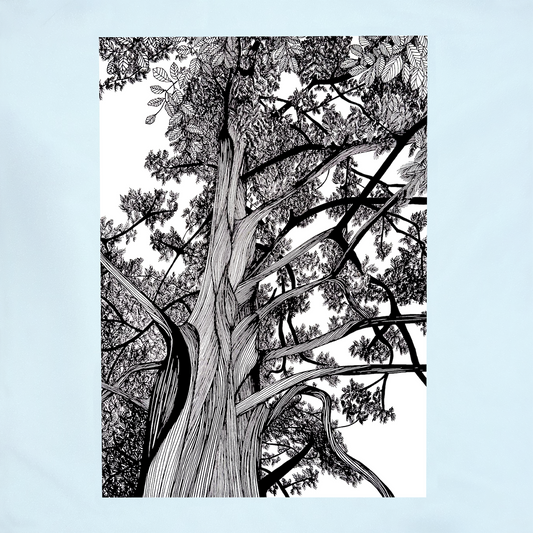 Art Print, The Redwood Tree Sefton Park