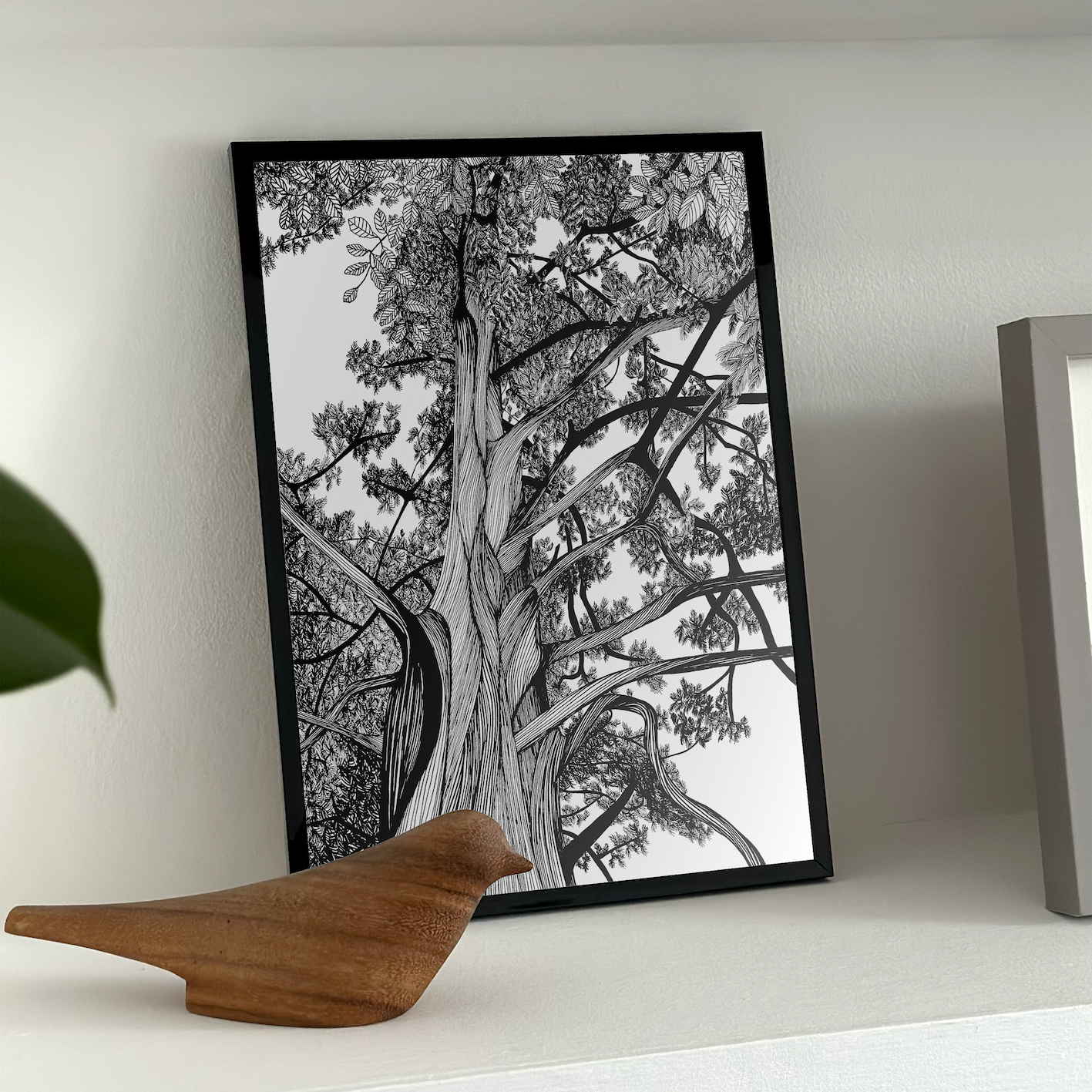 5.tree_redwood_insitu_2x_f6271d7a-eaee-484e-b926-a2fbc4bdcbaa.png