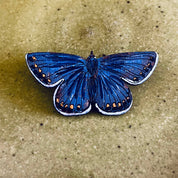 A small blue butterfly pin with white and orange eye spots on its wings, displayed on a textured beige stone surface.
