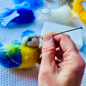 Needle Felting Workshop: Create a Blue Tit Bird