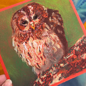 Clever Hands Workshops Workshop soft pastels for beginners