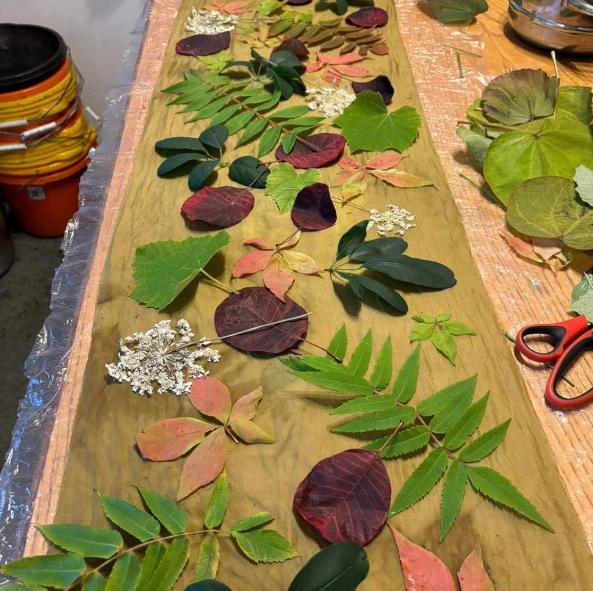 Workshop eco print fabric