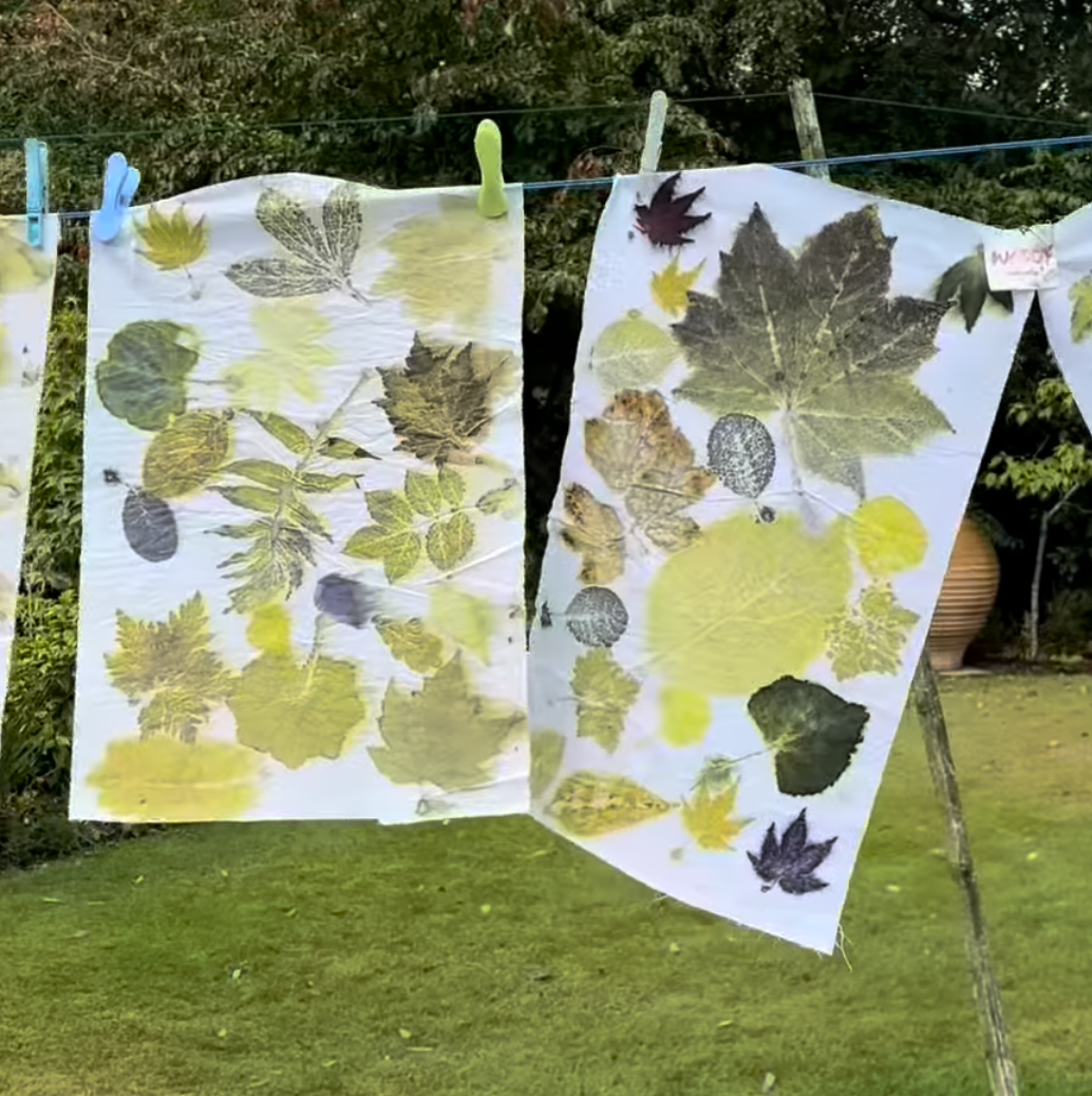 Workshop eco print fabric
