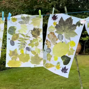 Workshop eco print fabric