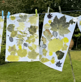 Eco Print Workshop: Paper and Fabric