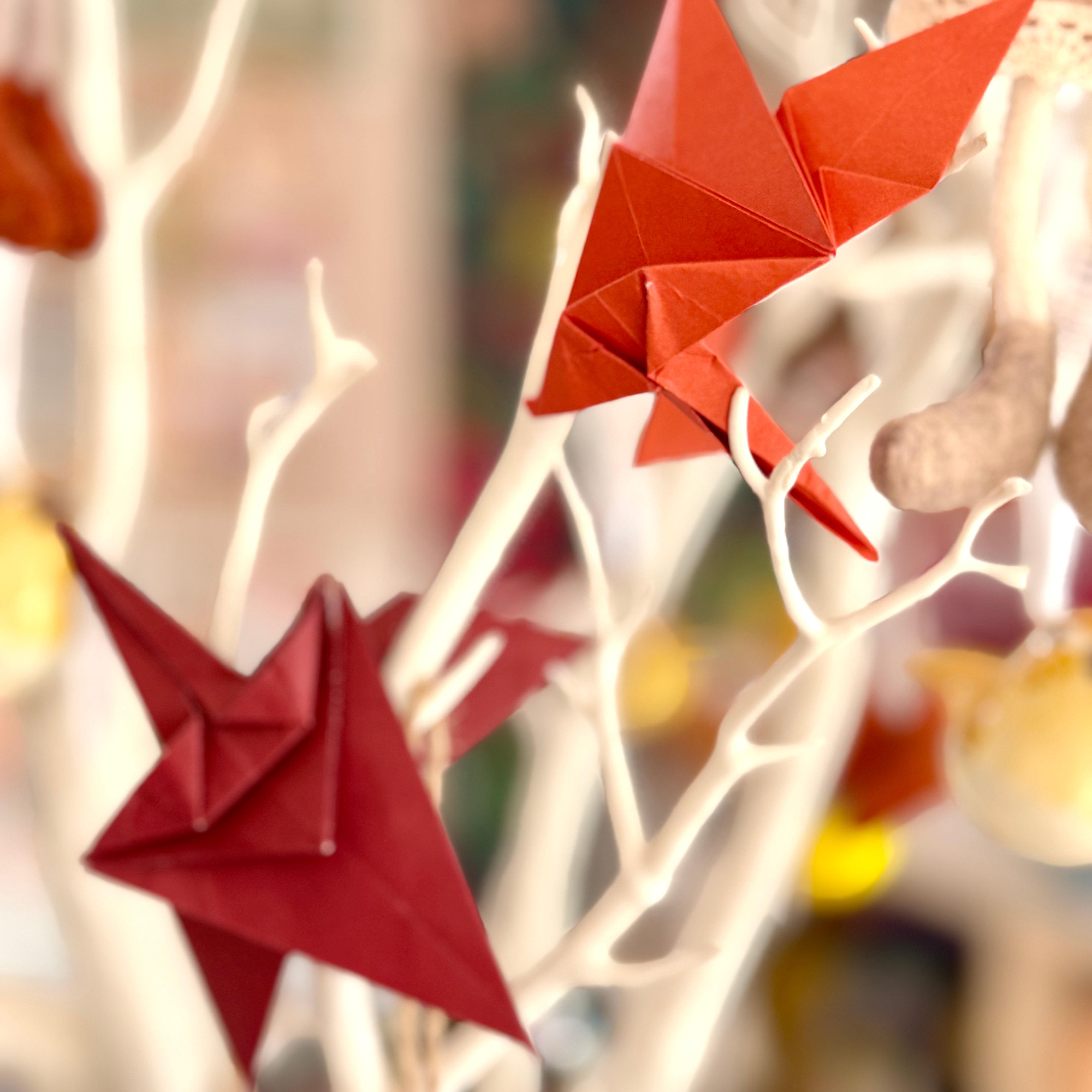Origami Autumn & Winter, for Beginners