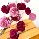 Purple & plum velvet pumpkin stem, 50cm