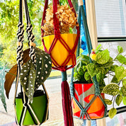Macrame plant hangers with colorful pots hanging from a ceiling
