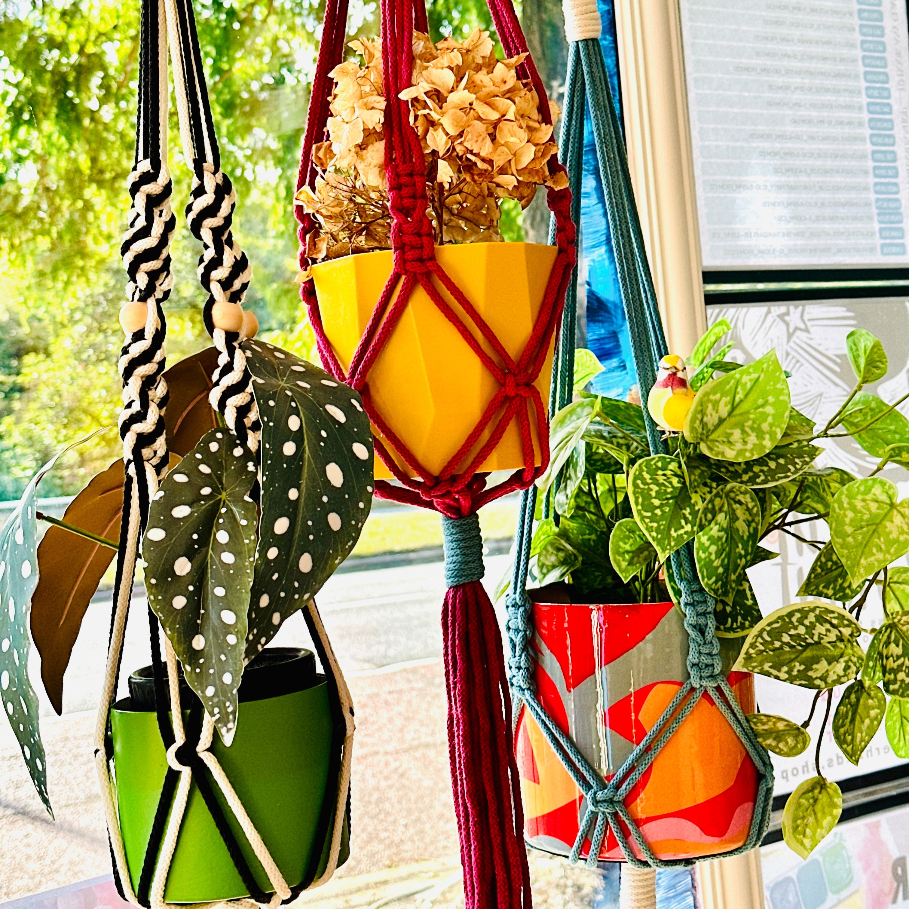 Macrame plant hangers with colorful pots hanging from a ceiling