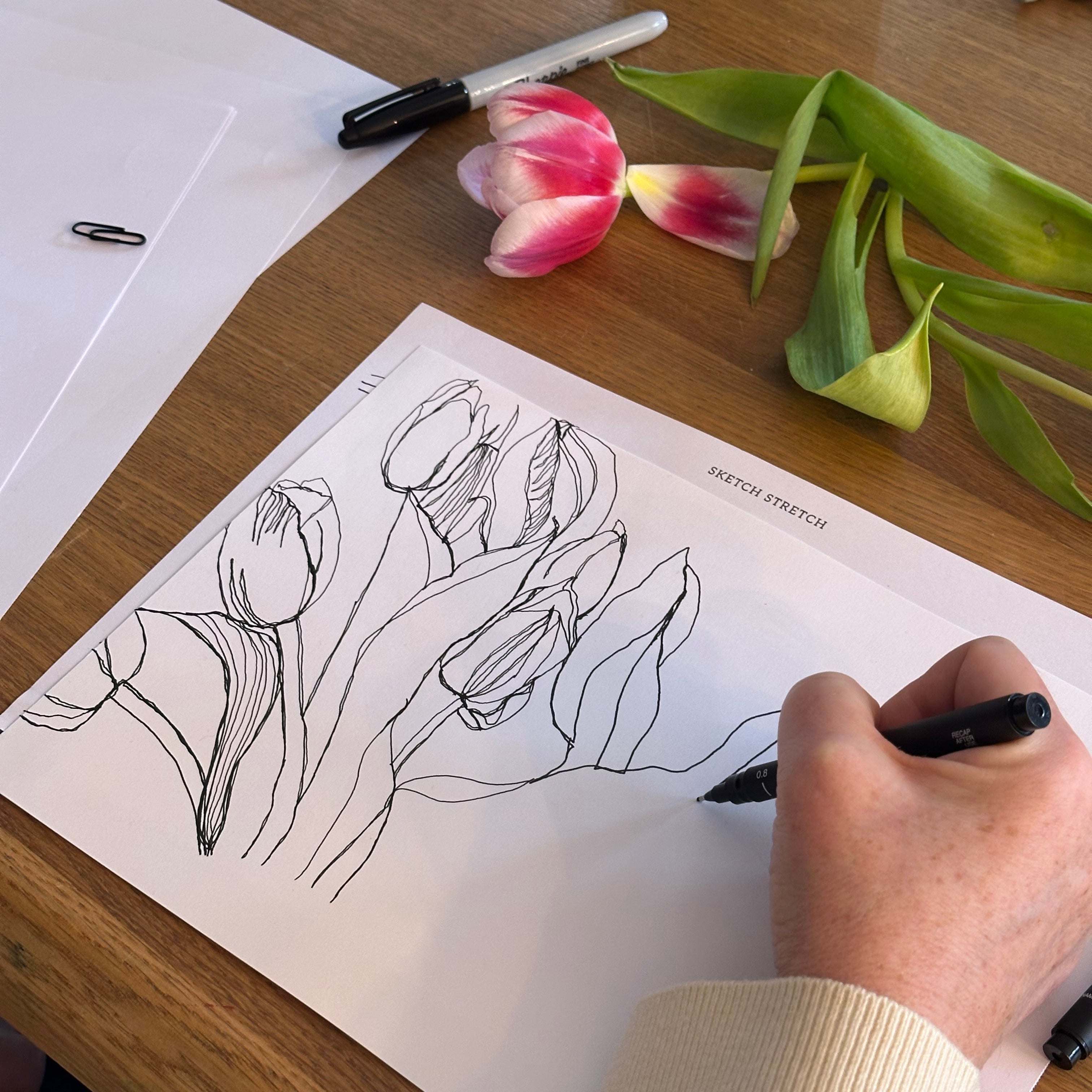 Person drawing tulips on paper with a pen, next to actual tulips on a wooden table.